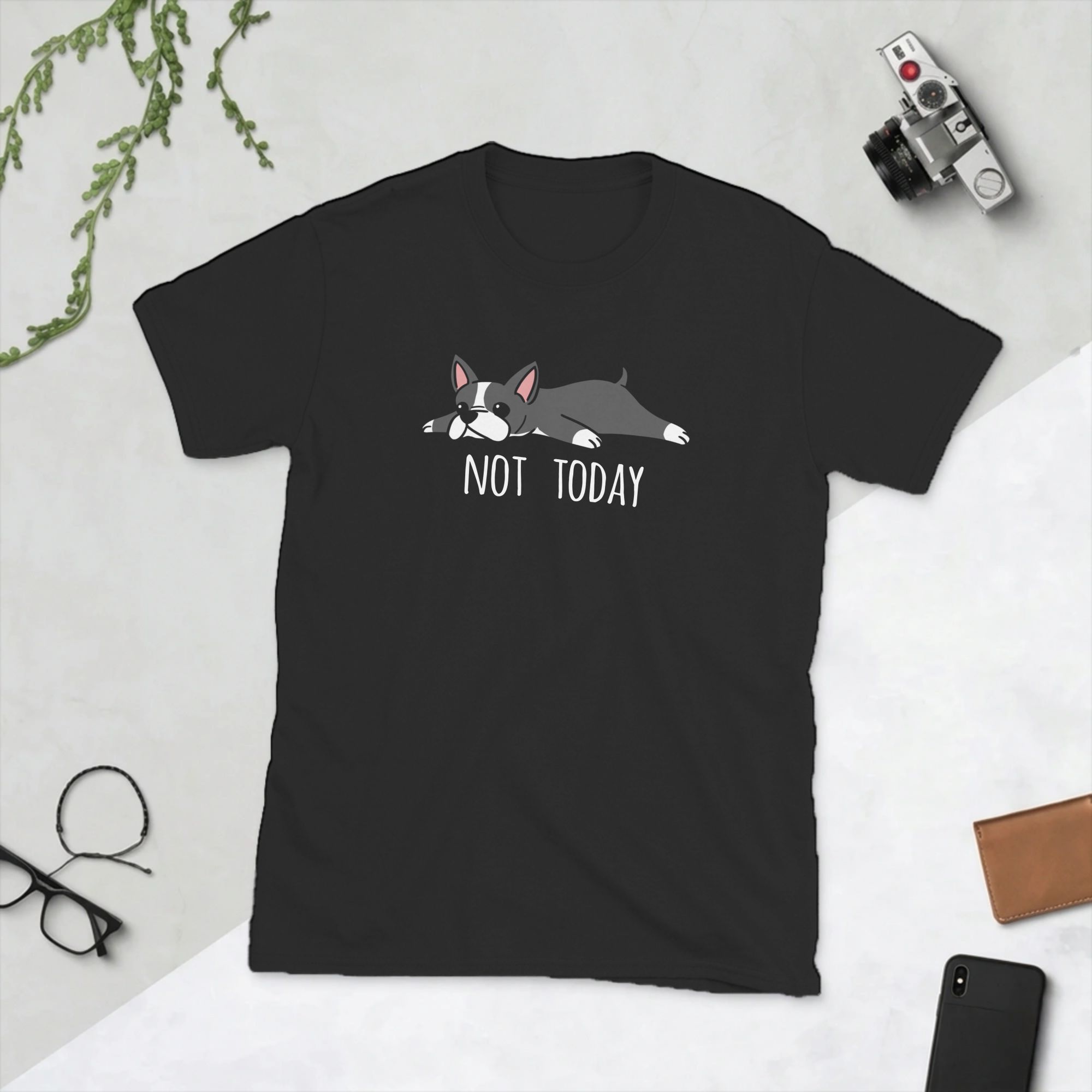 Summer Clothing Ideas Men - Funny Not Today Boston Terrier Dog