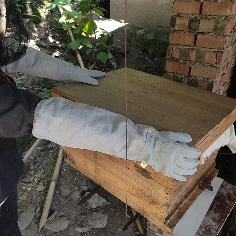 Beekeeping Gloves Anti-bee Ant - Rash Guard Long Sleeve ulasan dan harga